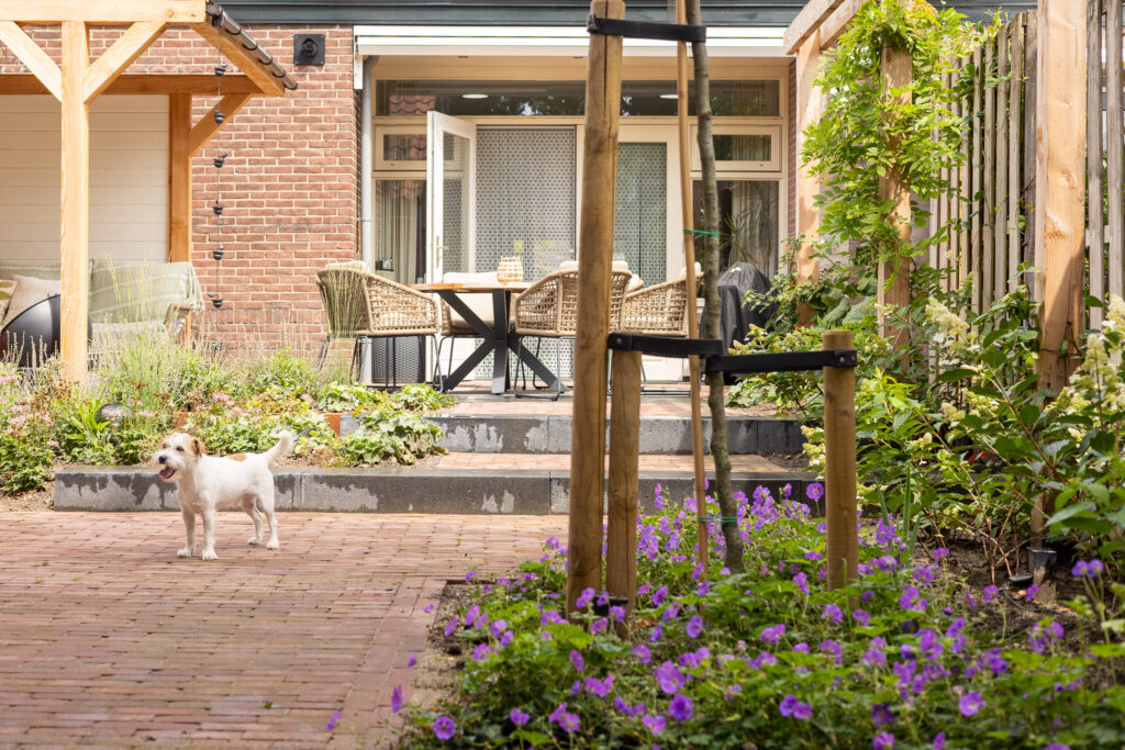 Moderne Groene tuin